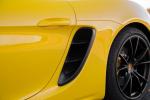 Porsche 718 Boxster GTS 2017 года (WW)